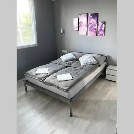 Lägenhet Vizokuti Apartman - Modern Haz Vizkozelben, Ingyenes Parkolassal